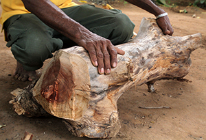 Edmundo Carrasquero:El Vendedor de Leña Por:José Ángel Nuñez