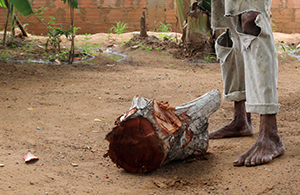 Edmundo Carrasquero:El Vendedor de Leña Por:José Ángel Nuñez